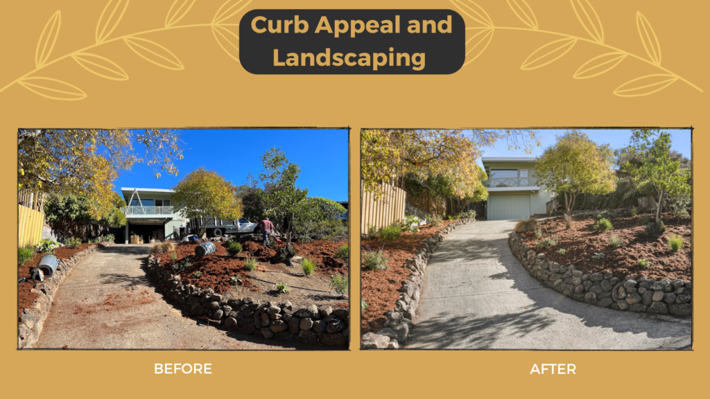 curb appeal and landscaping before and after